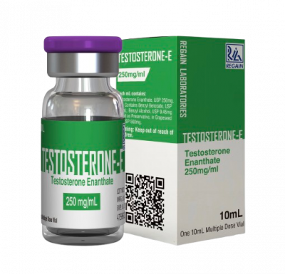 TESTOSTERONE E 250 Regain